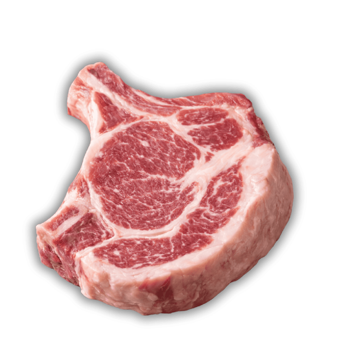 Côte porc noir de Bigorre – Savoureuse et juteuse