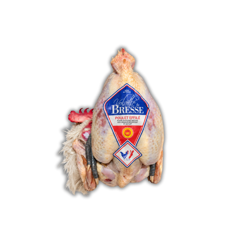 Poulet de Bresse – Chair fine et savoureuse